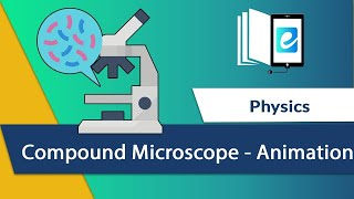 Understanding the Compound Microscope Animated  Construction Components and Working Explained [upl. by Puklich698]