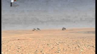 Syrian Army Training 20120710 مناورات عسكرية للجيش العربي السوري [upl. by Venuti]