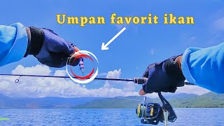 STRIKE IKAN SULTAN ‼️hanya dengan micro jig 10  20gram bisa strike ikan mahal  ultralight jigging [upl. by Notlef]