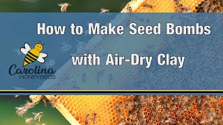 How to Make Seed Bombs with Air Dry Clay [upl. by Buckley684]