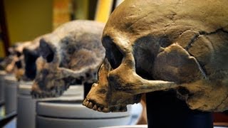 Humans vs Neanderthals  Who Would Win Archaeologists Weigh In [upl. by Ykcir]