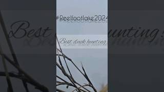 First duck taken on video Reelfootlake2024 duck hunting hunting [upl. by Yrian]