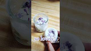 Making Lilac Enfleurage Cream Perfume lilac perfume perfudiy tutorial scent [upl. by Ashbaugh930]