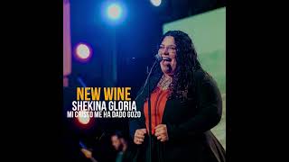 NEW WINE  SHEKINA gloria ven 🙌🙌 Mi Cristo me ha dado gozo [upl. by Rica]