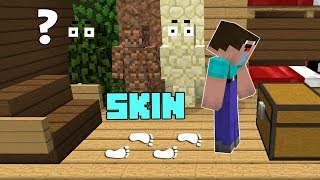 TROLLEANDO TODAS LAS SKIN TROLL SECRETAS 😂 NOOB VS CASA CON ESCONDITES en MINECRAFT 💀 [upl. by Neenwahs]