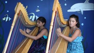 Luz Marina Harp Duo  Pájaro Campana [upl. by Mccullough]