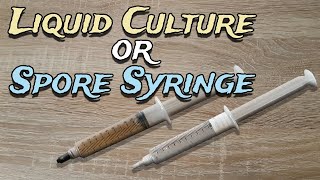 Liquid Culture Vs Spore Syringe  What is the Difference Which one for Growing Mushrooms [upl. by Nnayar]