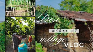 વાડીયે દવા છાંટી Vadiye Dava Chanti Vadi Ni Mojj🥰 [upl. by Eibocaj248]