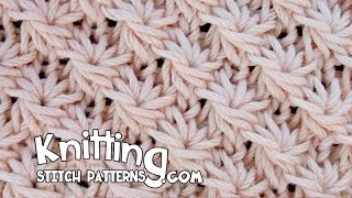 Knitting Stitch Patterns · Dec 4 2014 Daisy Stitch [upl. by Gibbie987]