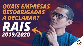 Quais empresas estão desobrigadas a declarar a RAIS 2020 Prof Luciano Pimentel [upl. by Merrie]