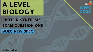 WJEC A Level Biology Protein Synthesis Q1 [upl. by Magocsi]