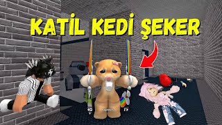 😈 KATİL KEDİ ŞEKER🔫AYŞEM ECE ARI💥ROBLOX MURDER MYSTERY 2 [upl. by Schear]