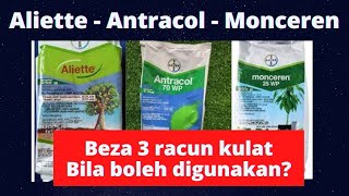 Sifu Durian BAB 87  White Oil Aliette Monceren amp Antracol  Racun Kulat Utk Durian [upl. by Schwejda116]