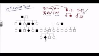 Difference between autosomal dominant and recessive pedigree analysis  Dr Sumaiya Anees [upl. by Silisav]