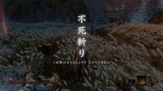 Sekiro  isshin the sword saint after patch 106 [upl. by Aneen]