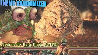 The CHAOS Continues In Pure Darkness  DS2 Enemy Randomizer Mod [upl. by Ahsehat]