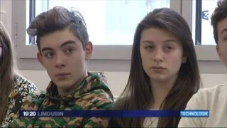 Intervention SOS Homophobie Lycée Léonard Limosin Limoges janvier 2016 [upl. by Alliuqahs939]