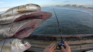 Pier Fishing for Spot Catch and Cook  How to Catch and Cook Spot [upl. by Madid884]