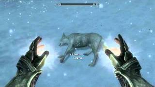 Befriending a Skyrim Fox [upl. by Arzed]