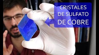 Cómo hacer cristales azules ENORMES de SULFATO DE COBRE en casa [upl. by Nairde89]