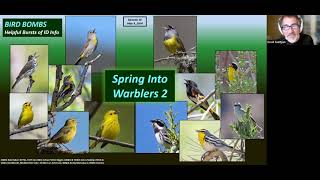 Bird Bombs  Spring Into Warblers 2 MAY 2024 [upl. by Aracot763]