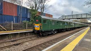 1001  Hastings Diesel Unit  Shalford Station  Surrey Hills Surprise  6th January 2024 [upl. by Sib877]