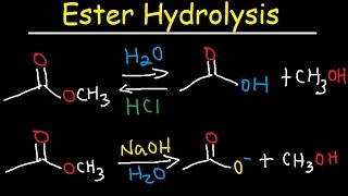 Ester Hydrolysis Reaction Mechanism  Acid Catalyzed amp Base Promoted Organic Chemistry [upl. by Senhauser]