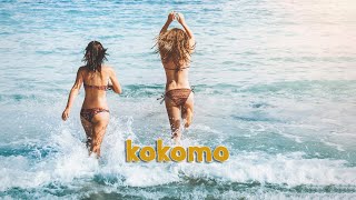 The Beach Boys  Kokomo Viceroy Remix video clip HD [upl. by Astor659]