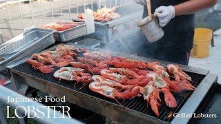 How to harvest Sea Lobster in Japan  Fresh Lobster Serving Dishes [upl. by Ayatahs]