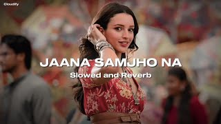 Jaana Samjho Na slowed  reverb • Cloudify • [upl. by Rosanna]