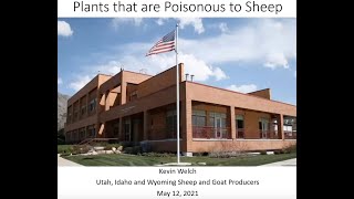 Plants that are Poisonous to Sheep [upl. by Ettennyl44]