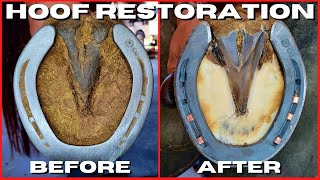 Farrier ASMR  Very Satisfying Hoof Restoration [upl. by Nolasba388]