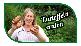 Kartoffeln anbauen 🥔 im Kübel und der Tonne 🥔 Unsere Kartoffelnsorten [upl. by Yanetruoc672]