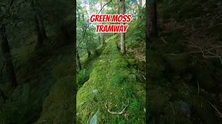 Old Tramway Covered In Moss That Led To An Old Mine abandonedmines exploring mine lakedistrict [upl. by Den]