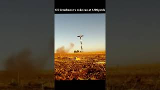 65 creedmoor v coke can at 1200yards [upl. by Dronel]