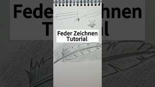 Feder zeichnen Tutorial  Einfache Schritt für Schritt Anleitung zum zeichnen zeichnenlernen [upl. by Ennyrb]