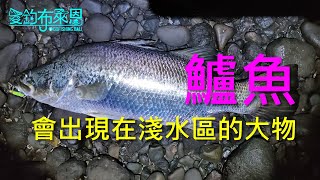 16 鱸魚的習性與釣法金目鱸、七星鱸【知魚不龜系列】 [upl. by Elirpa502]