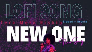 TERA MERA RISHTA LOFI SONGSLOWED REVERBLOFI SONGLOVE STORY SONGSAD SONG [upl. by Ayotyal]