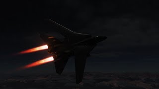 F14 RIO PVP Day and Night [upl. by Halyk]