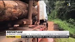 Mars2017  Françoise Fredoc élue de Kourou revient sur les événements 2017 [upl. by Fagen]