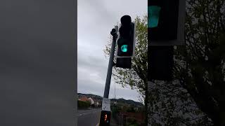 Puffin crossing at Rhos [upl. by Sheelagh898]