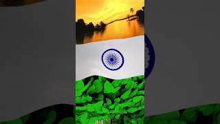 Public Holiday In India 15 August 🇮🇳 indianflag reels [upl. by Ecargyram509]