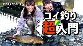 コイ釣り超入門。「都会の川で大物釣りのロマン」【釣りあそびジャーナル】 [upl. by Lejna]