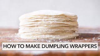 How to Make Dumpling Wrappers Dumpling Skins餃子皮  Lisa Lin [upl. by Onirefez711]