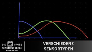 Die große Sensorstrecke  17  Verschiedene Sensortypen 📷 KrolopampGerst [upl. by Naeroled17]