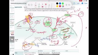 sirolimus and basiliximab immunology 65  First Aid USMLE Step 1 in UrduHindi [upl. by Eignat359]