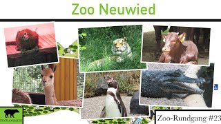 Zoo Neuwied 2022  ZooRundgang 23 [upl. by Mickelson]