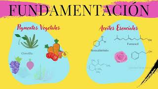 Extracción de pigmentos vegetales y aceites esenciales zanahoria y pétalos de rosa [upl. by Schreck]