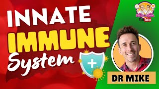 Innate Immunity  Immune System [upl. by Anaicul275]