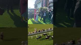 Awesome Royal Ascot celebrations from team Belloccio horseracing royalascot [upl. by Jaquelin]